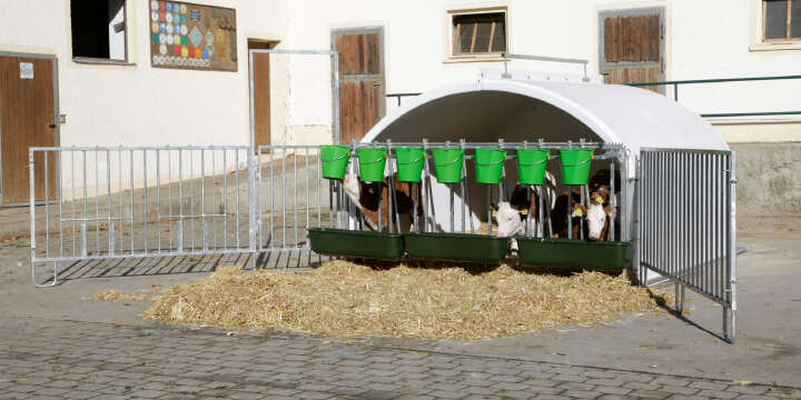 KERBL CalfHouse Premium XXL mit Umzäunung